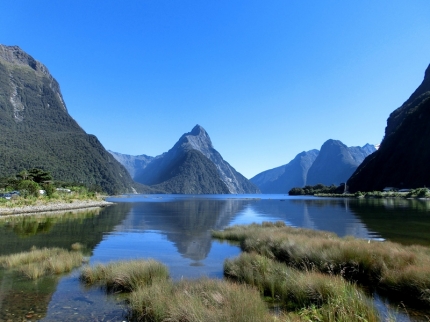 fjordland (10)